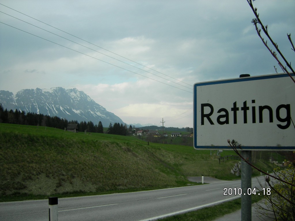 ratting